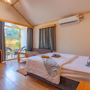 King Room Garden View